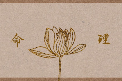 老皇历_择吉皇历一万年历_老皇历吉曰吉时查询